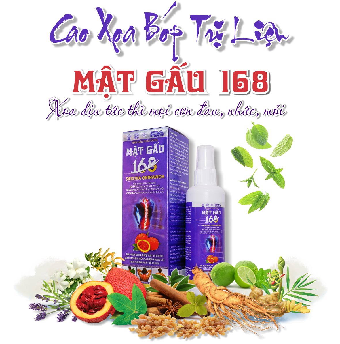 CAO TRỊ LIỆU MẬT GẤU 168